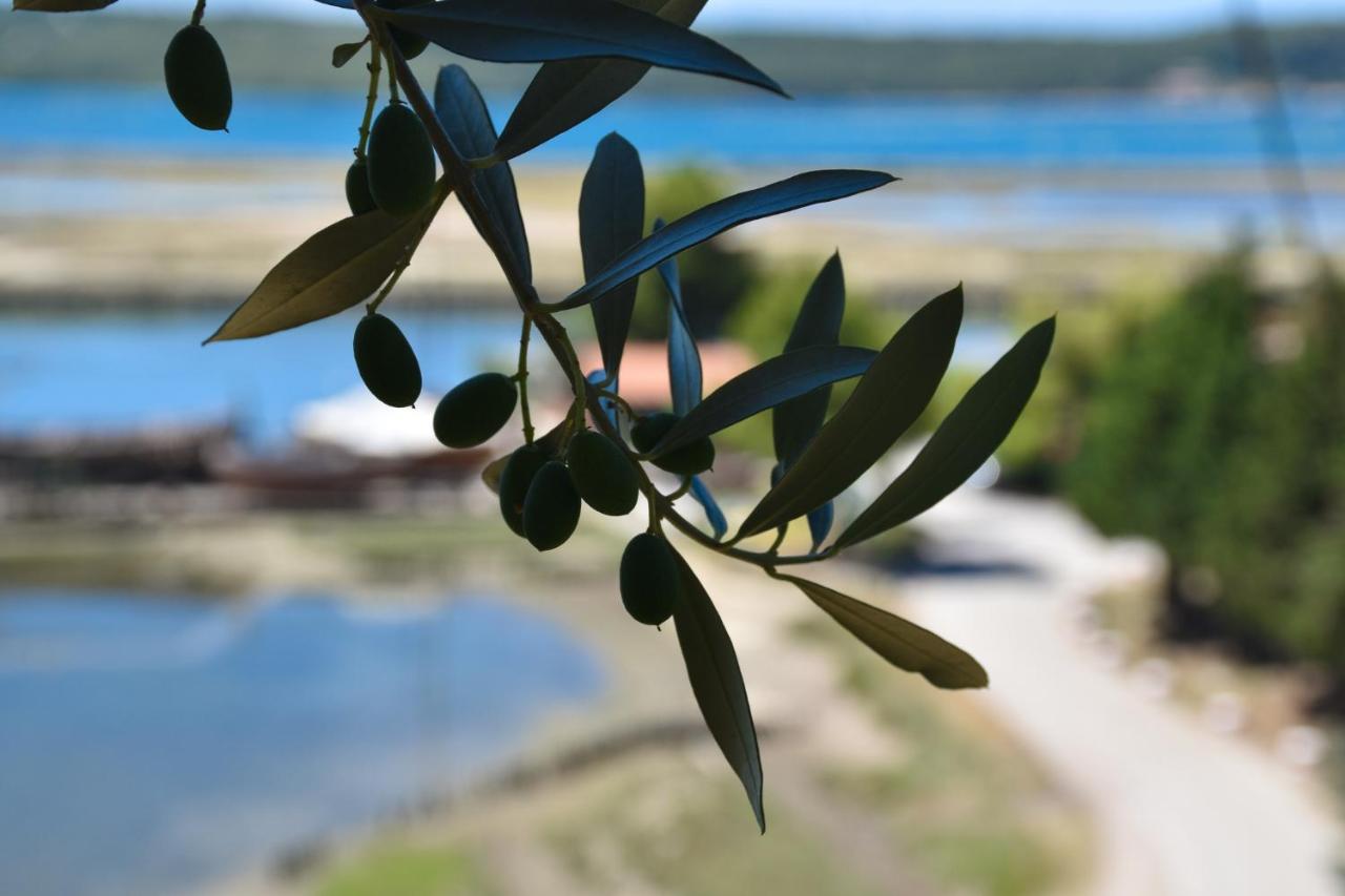 Olive Garden & Sea Apartments Portoroz Exterior photo
